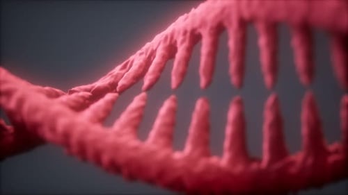 DNA Molecule on the Grey Background