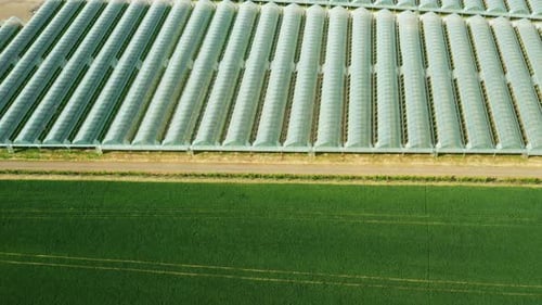 Aerial View of Agriculture Greenhouse for Growing Plants and Vegetables Near the Green Field