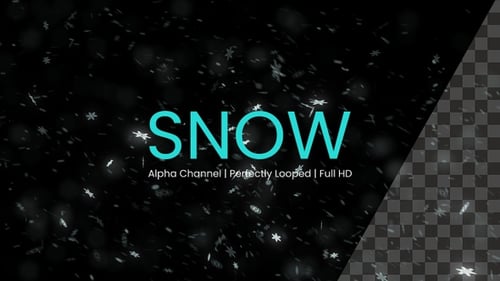 Falling Winter Snow Overlay Animation