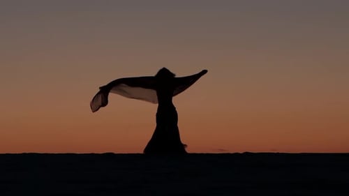 Danseuse dansant contre le coucher du soleil danse la danse du ventre.
silhouette