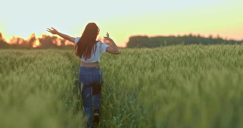 Happy Young Woman is Running on Field of Rye or Wheat in Sunset Rear View Prores
