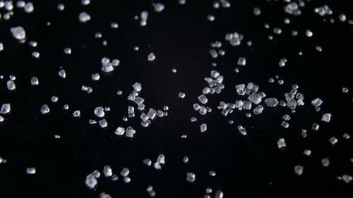 Sugar