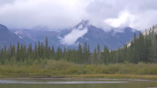 Coniferous forest and mountains, Canada
