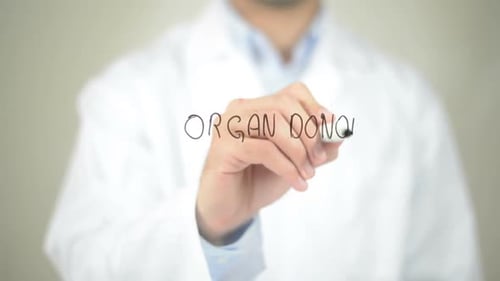 Organspender, Arzt schreibt auf transparentem Bildschirm