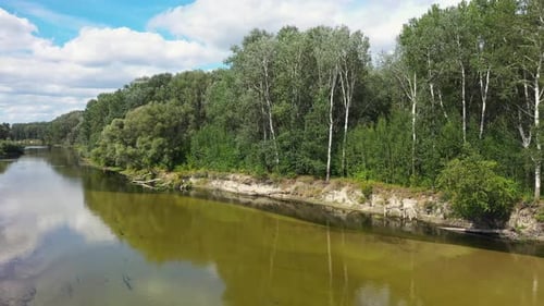 The Forest River Landscape