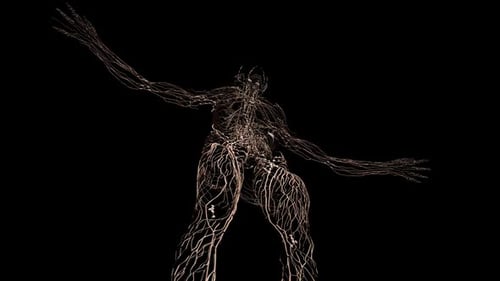 Human Lymphatic System 3D Medical Anatomy Animation