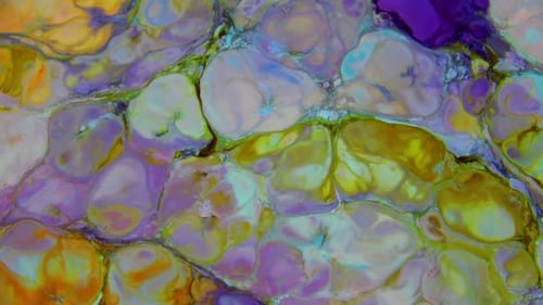 Abstract Colors Fluid Motion