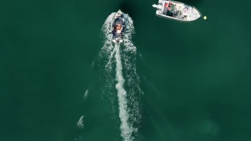 Ein Fischerboot legt im Hafen an, von oben gesehen