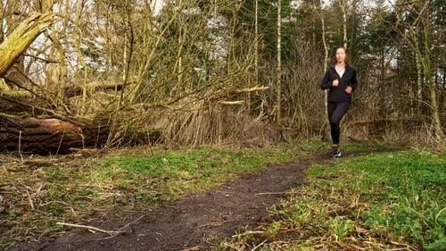 Running into the Wild