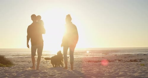 Family with their dogs having fun in the beach 4k
