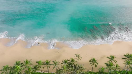 Slow Motion Teal Blue Waves of Transparent Green Ocean Waters Beach Nature