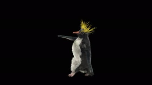 Penguin Dancing 4K