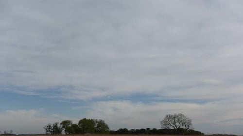 Wispy Clouds over a Flat Rural Landscape