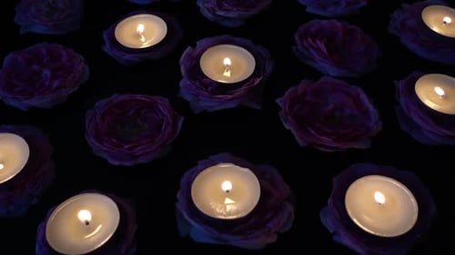 Roses and Candles 19