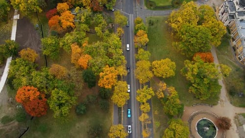 Szechenyi Furdo Elotti Park and Zielinski hid in Budapest