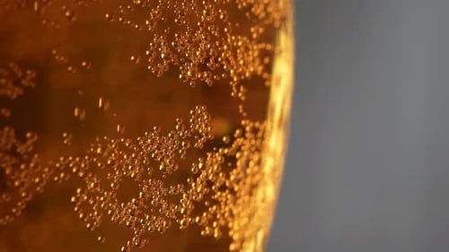 Cerveza fría fresca 74