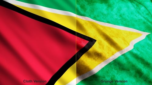 Guyana Flags