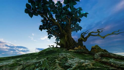 Animated Stylized Tree on a Green Hill under Blue Sky
