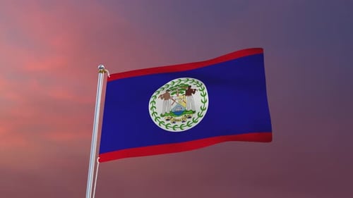 Belize National Flag Waving in Wind Realistic 3D Animation