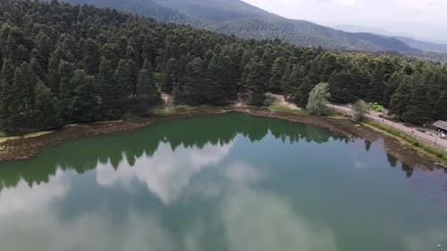 Aerial View of Lake and Evergreen Forest
