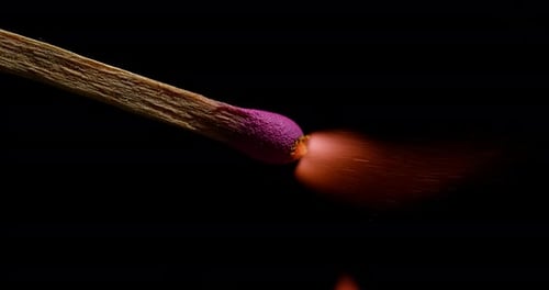 Burning Match with Purple Tip in Macro Detail