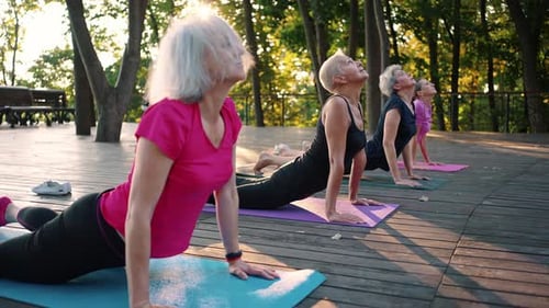 Group of Senior Women Practicing Yoga in Park