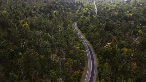 Aerial View of a Rural Road with Cars Driving Along It in a Autumn Forest