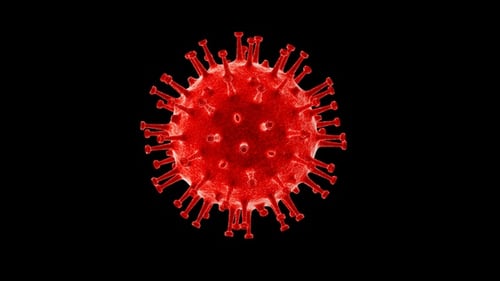 Rotating Red Spiked Virus Cell 3D Model