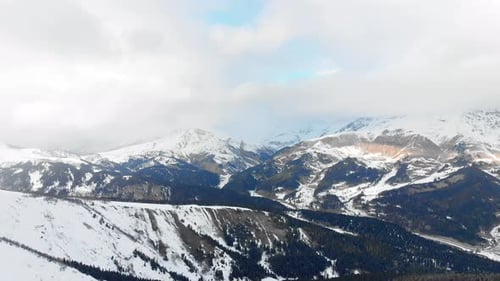 Winter Landscape with a Pine Forest in the Snow