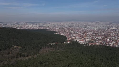 Aerial Drone Suburban Houses Front of Forest
