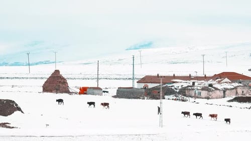 La vie de village et le berger