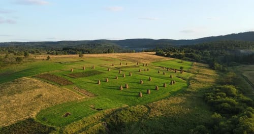 Sheaves Of Hay In The Field. Countryside. Carpathian Mountains