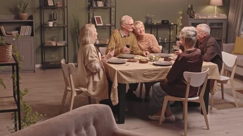 Seniors Toasting Wine Together at Home Dinner