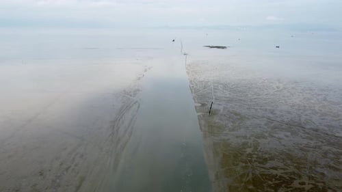 Aerial move at river canal at muddy land