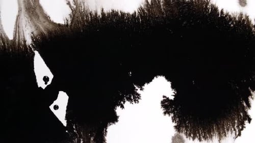 Black Ink Drops On White Background