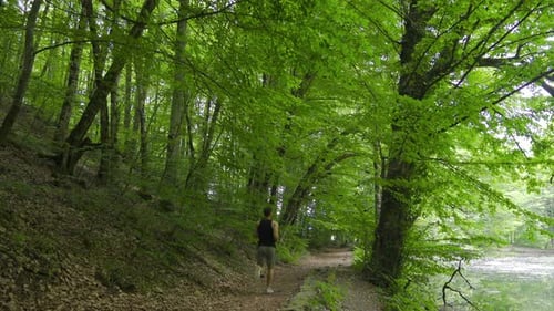Young Adult Runs on Path Through Green Forest