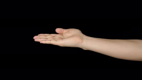 Hands Open With Alpha Channel