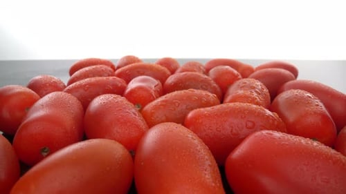 Reife rote biologische Tomaten in einer Reihe auf einer glatten Glasoberfläche