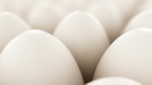 Endless animation of the white chicken's eggs infinite array. Loopable. HD