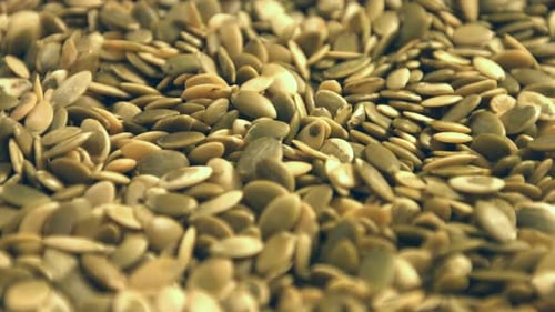 Close Up of Pile of Green Pumpkin Seeds
