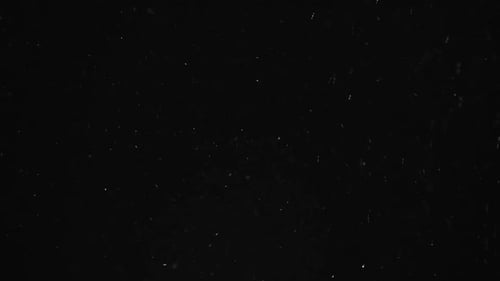 Animated Particles Floating on a Black Background
