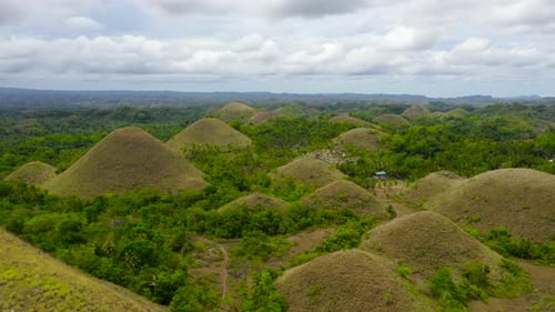 Chocolate Hills