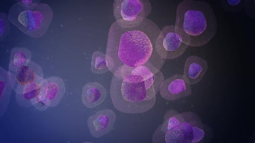 Animated Microscopic Cells in Abstract Biological Loop