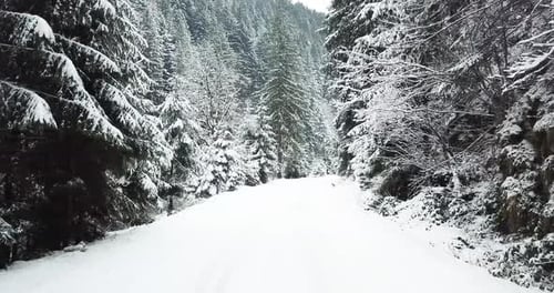 A Snowy Road Passes Through a Forest in the Mountains