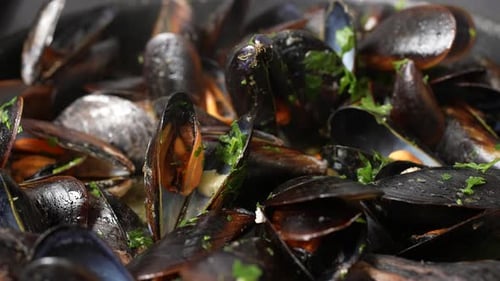 Close-up of Fresh Cooked Mussels with Parsley