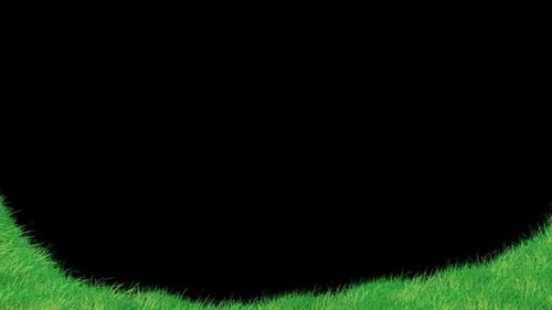 Animated Green Grass Lower Third Border Overlay