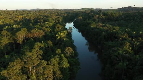 Drohne steigt von der Spitze eines Flusses ab, mitten im Amazonas-Regenwald