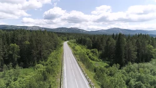 Blick von oben auf die leere Straße mitten im Wald
