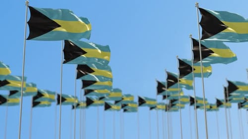Bahamas Row Of National flags Walk Throw Animation