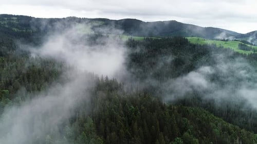 Flying Through the Clouds Above Mountain Tops. High Peaks with Forest, Wonderful Natural Landscape